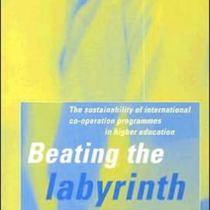 Beating the Labyrinth: The Sustainability of International Co-operation Programmes in Higher Education