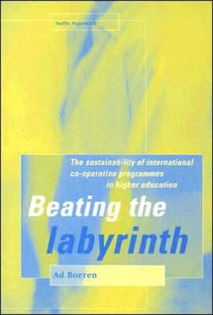 Beating the Labyrinth: The Sustainability of International Co-operation Programmes in Higher Education