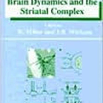 Brain Dynamics and the Striatal Complex