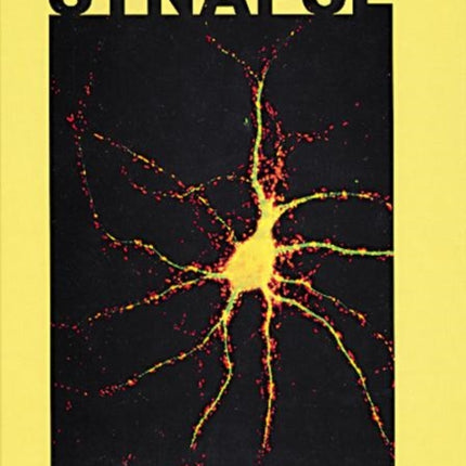 History of the Synapse