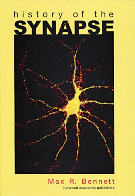 History of the Synapse