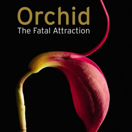 Orchid: the Fatal Attraction