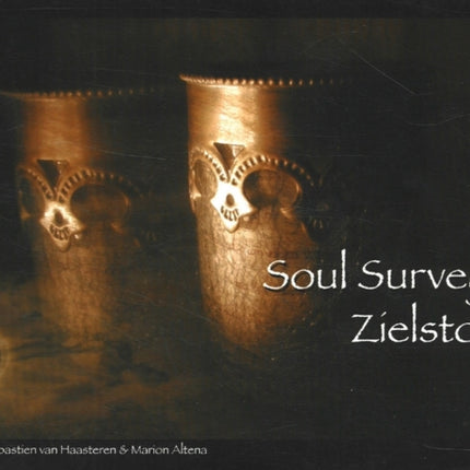 Soul Survey / Zielstocht