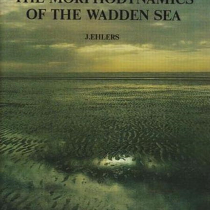 The Morphodynamics of the Wadden Sea