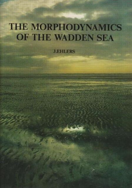 The Morphodynamics of the Wadden Sea