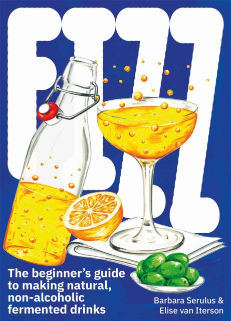 FIZZ: The Beginner's Guide to Making Natural, Non-Alcoholic Fermented Drinks