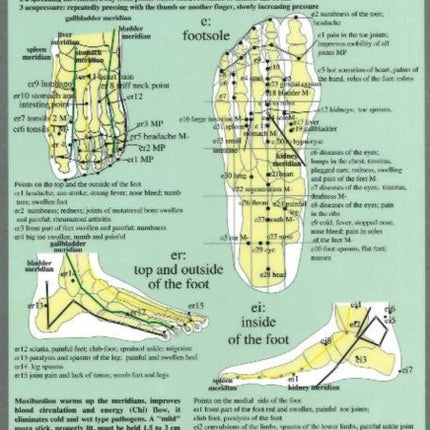 Acupoints of the Feet -- A4