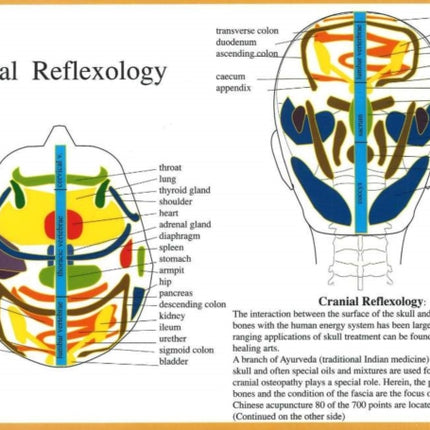 Cranial Reflexology -- A4