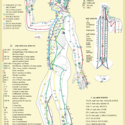 Special Points in Acupunture -- A4