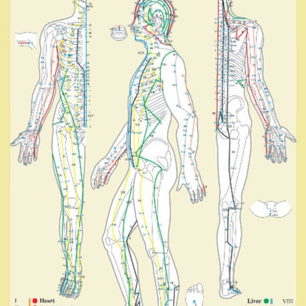 Meridians -- A2