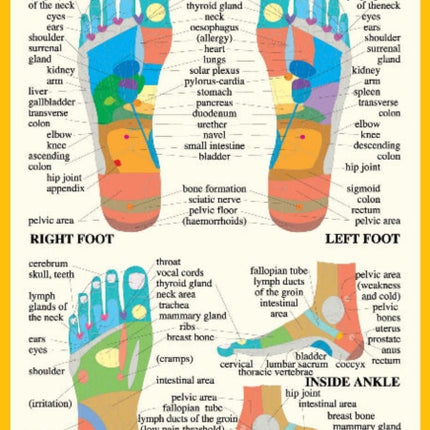 Foot Reflexology -- A2