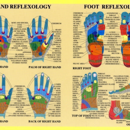 Hand & Foot Reflexology -- A2