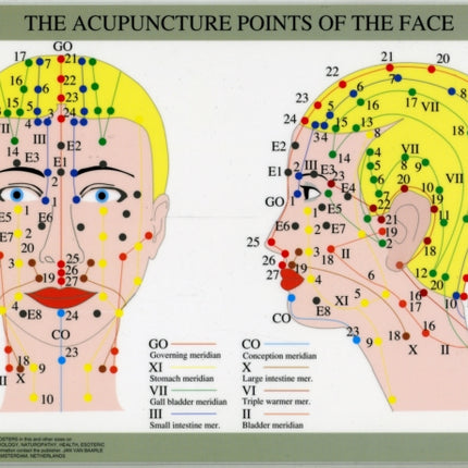 Acupuncture Points of the Face -- A4