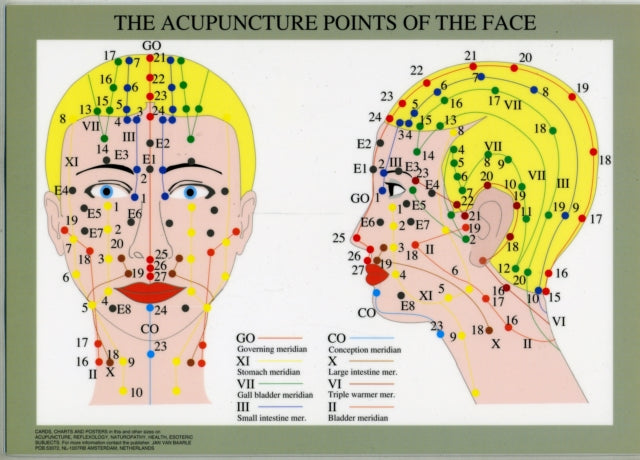 Acupuncture Points of the Face -- A4