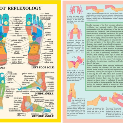 Foot Reflexology -- A4