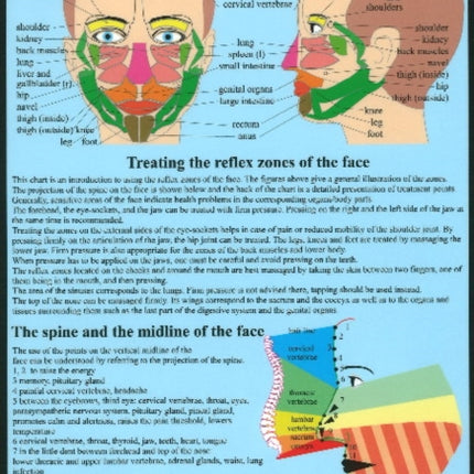 Facial Reflexology -- A4