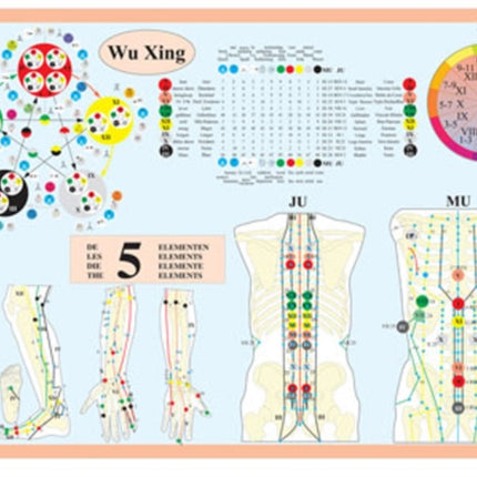 Wu Xing -- A2: The Five Elements