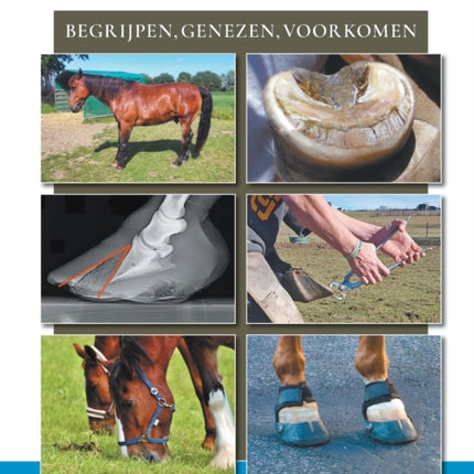 Hoefbevangenheid: begriipen, genezen, voorkomen