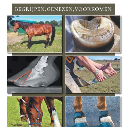 Hoefbevangenheid: begriipen, genezen, voorkomen