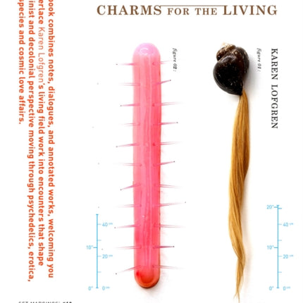 Karen Lofgren: Embrujada: Charms for the Living