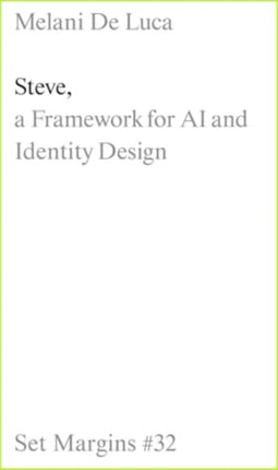 Steve A Framework for AI and Identity Design