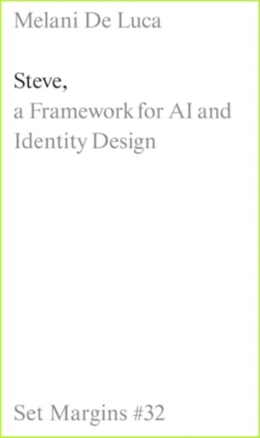Steve A Framework for AI and Identity Design