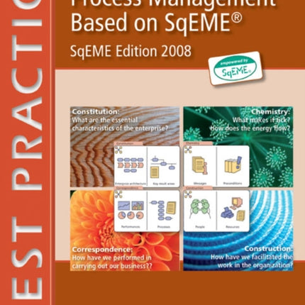 Process Management Based on SQEMA: 2008