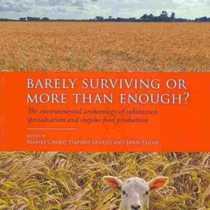 Barely Surviving or More than Enough?: The