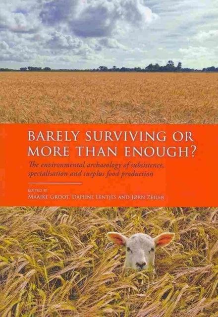 Barely Surviving or More than Enough?: The