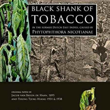 Black Shank of Tobacco in the Former Dutch East