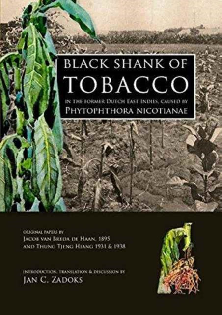 Black Shank of Tobacco in the Former Dutch East