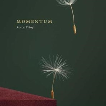 Momentum