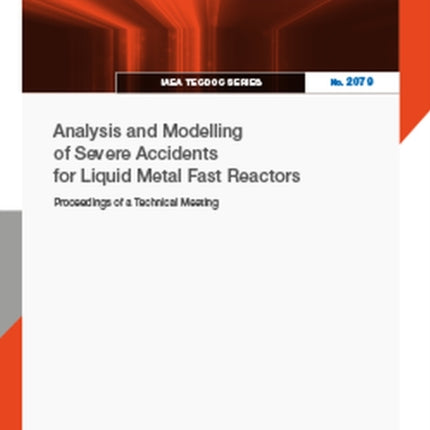 Analysis and Modelling of Severe Accidents for Liquid Metal Fast Reactors