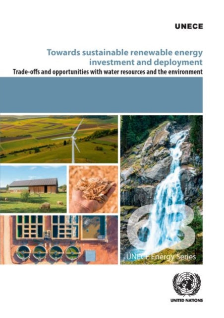 Towards sustainable renewable energy investment