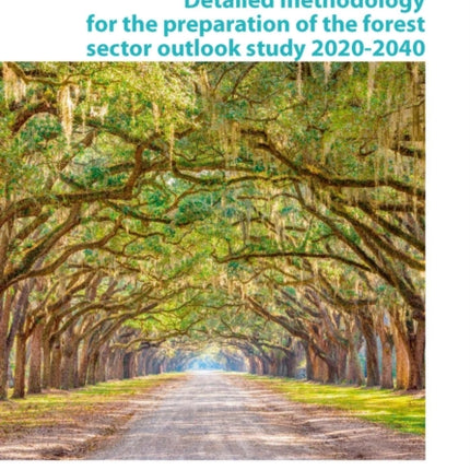 Detailed Methodology for the Preparation of the