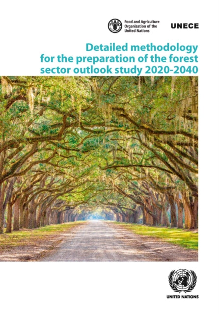 Detailed Methodology for the Preparation of the