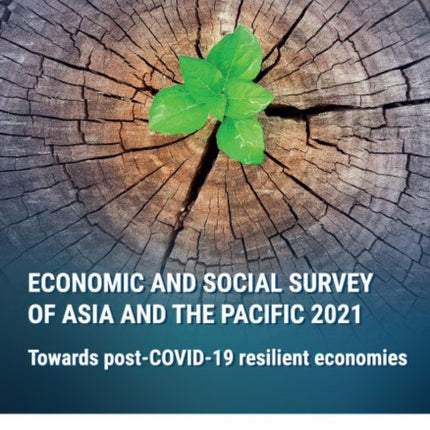 Economic and social survey of Asia and the