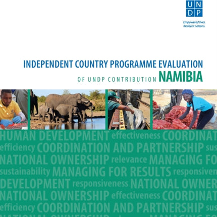 Assessment of development results - Namibia: independent country programme evaluation of UNDP contribution