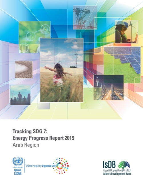 Tracking SDG 7: energy progress report 2019, Arab