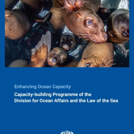 Enhancing ocean capacity: the capacity-building