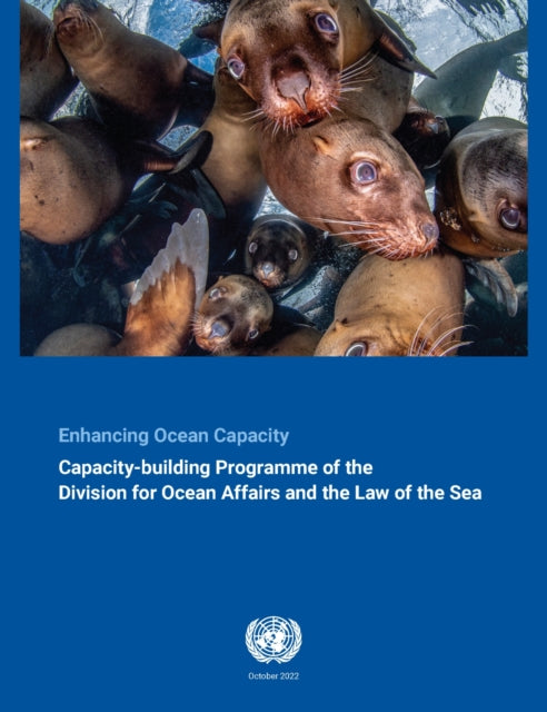 Enhancing ocean capacity: the capacity-building