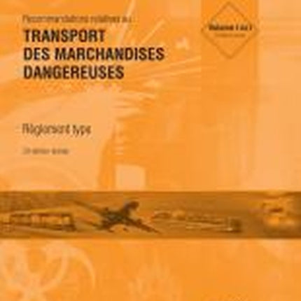 Recommandations des Nations Unies relatives au