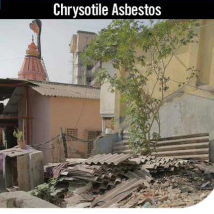 Chrysotile Asbestos