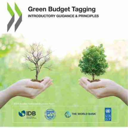 Green budget tagging: introductory guidance & principles