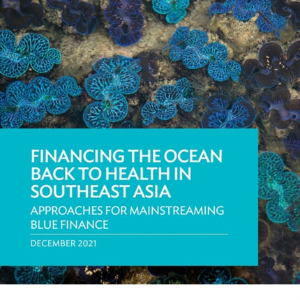 Financing the Ocean Back to Health in Southeast