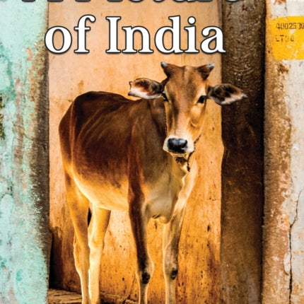 A Picture Of India