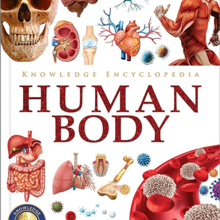 Knowledge Encyclopedia: Human Body