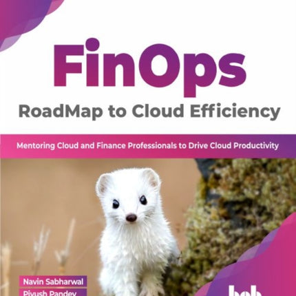 FinOps : RoadMap to Cloud Efficiency: Mentoring Cloud and Finance Professionals to Drive Cloud Productivity