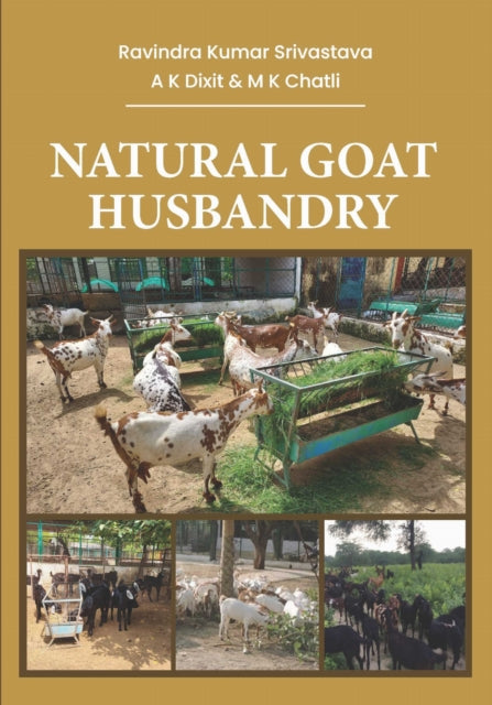 Natural Goat Husbandry Export Opportunities and Challenges