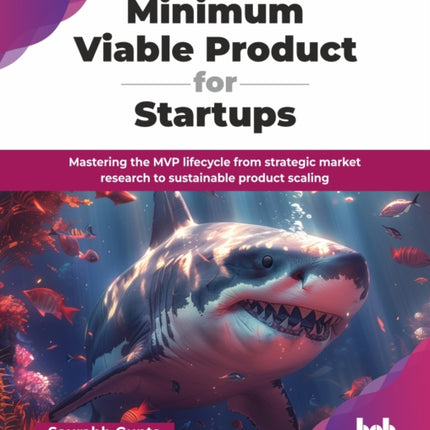 Minimum Viable Product for Startups